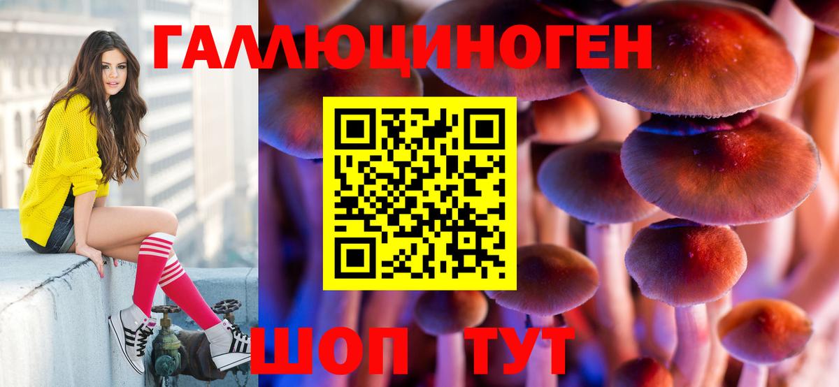 Псилоцибиновые грибы Psilocybine cubensis Феодосия